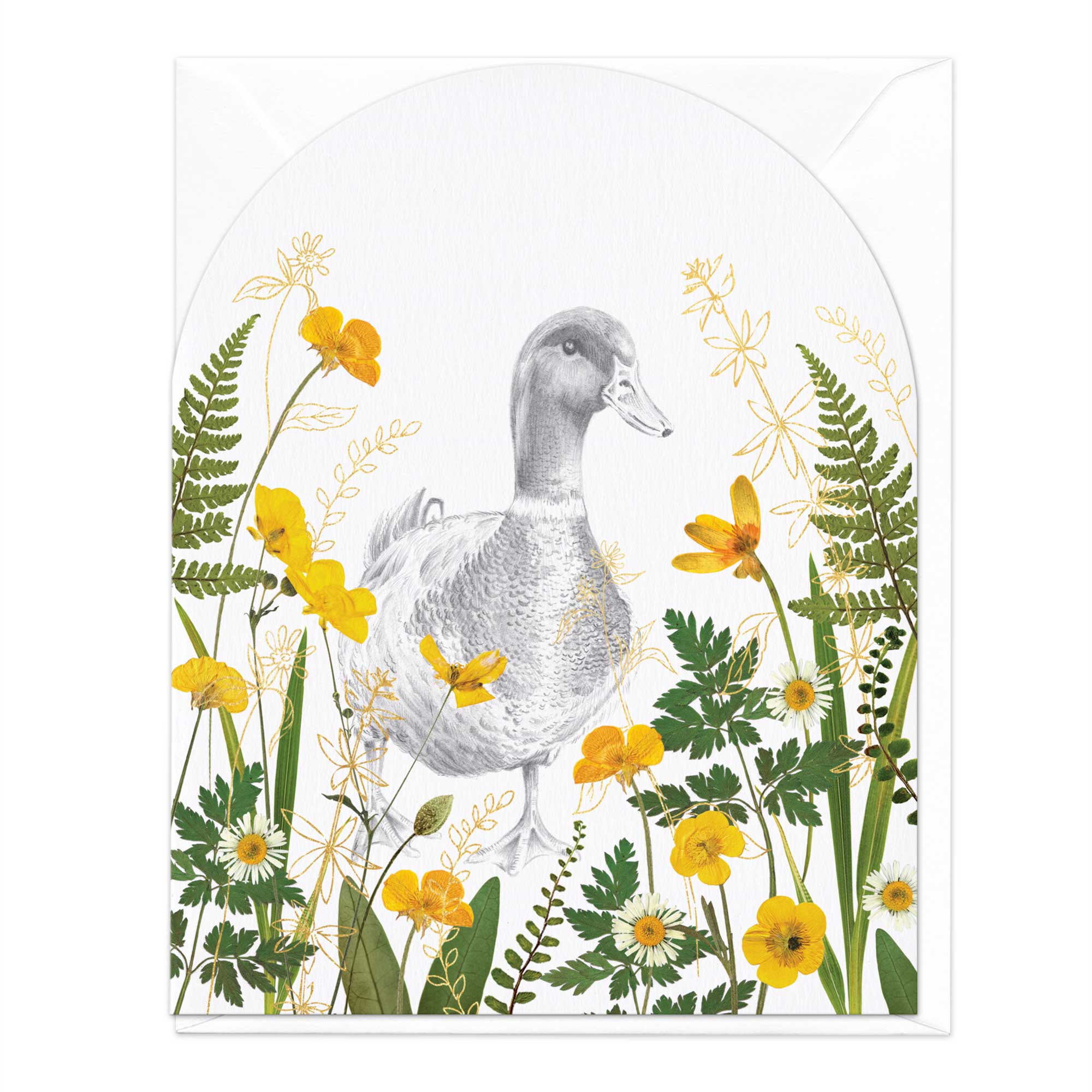 Duck In Pressed Buttercups Art Card