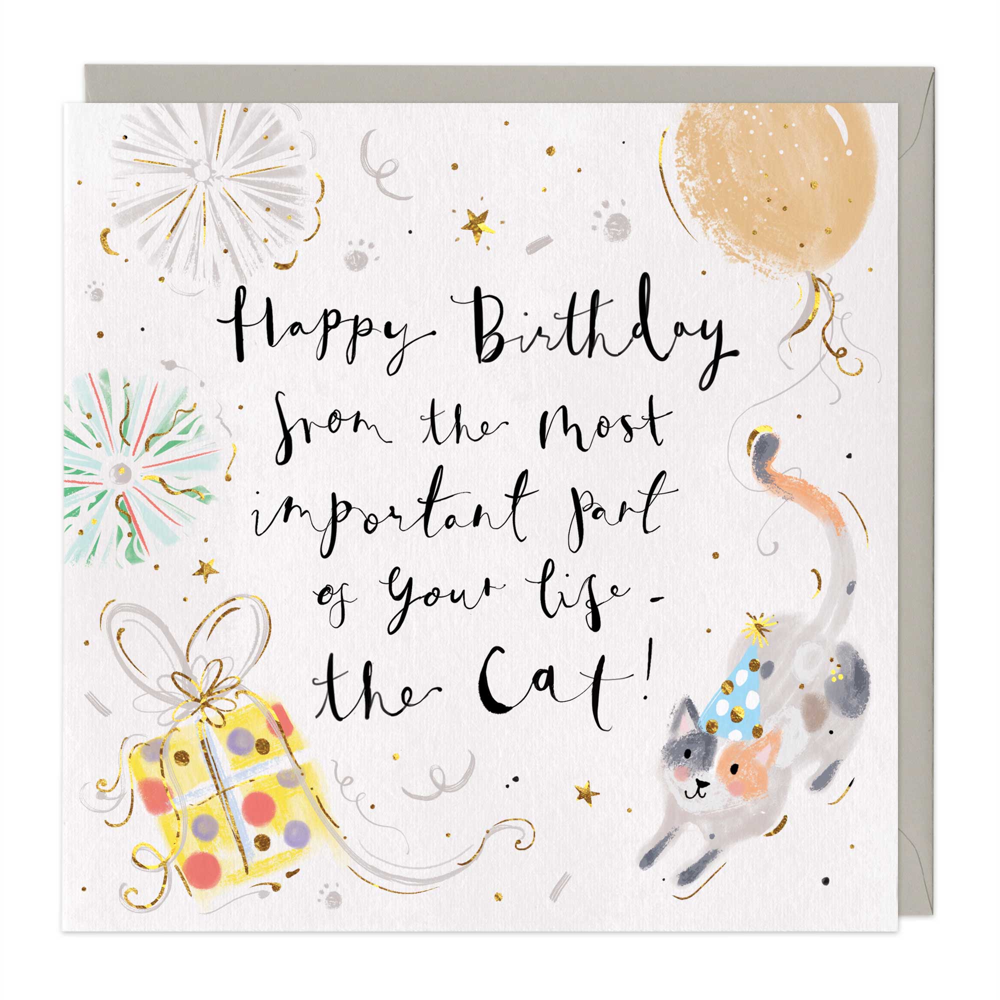 Happy Birthday From The Cat Card