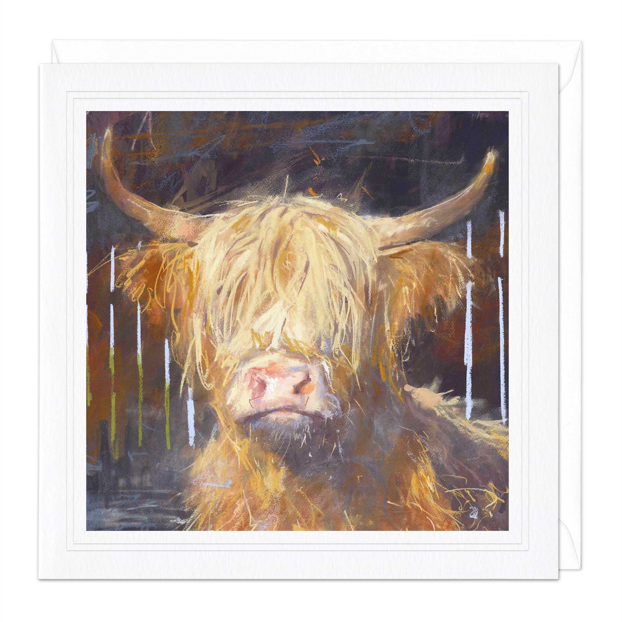 Highland Cow Art Card
