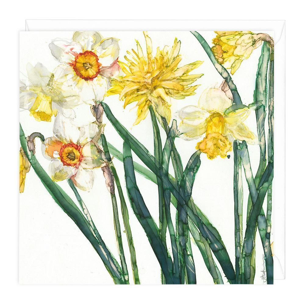 Narcissus & Daffodil Art Card