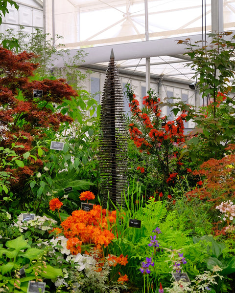 chelsea flower show stand