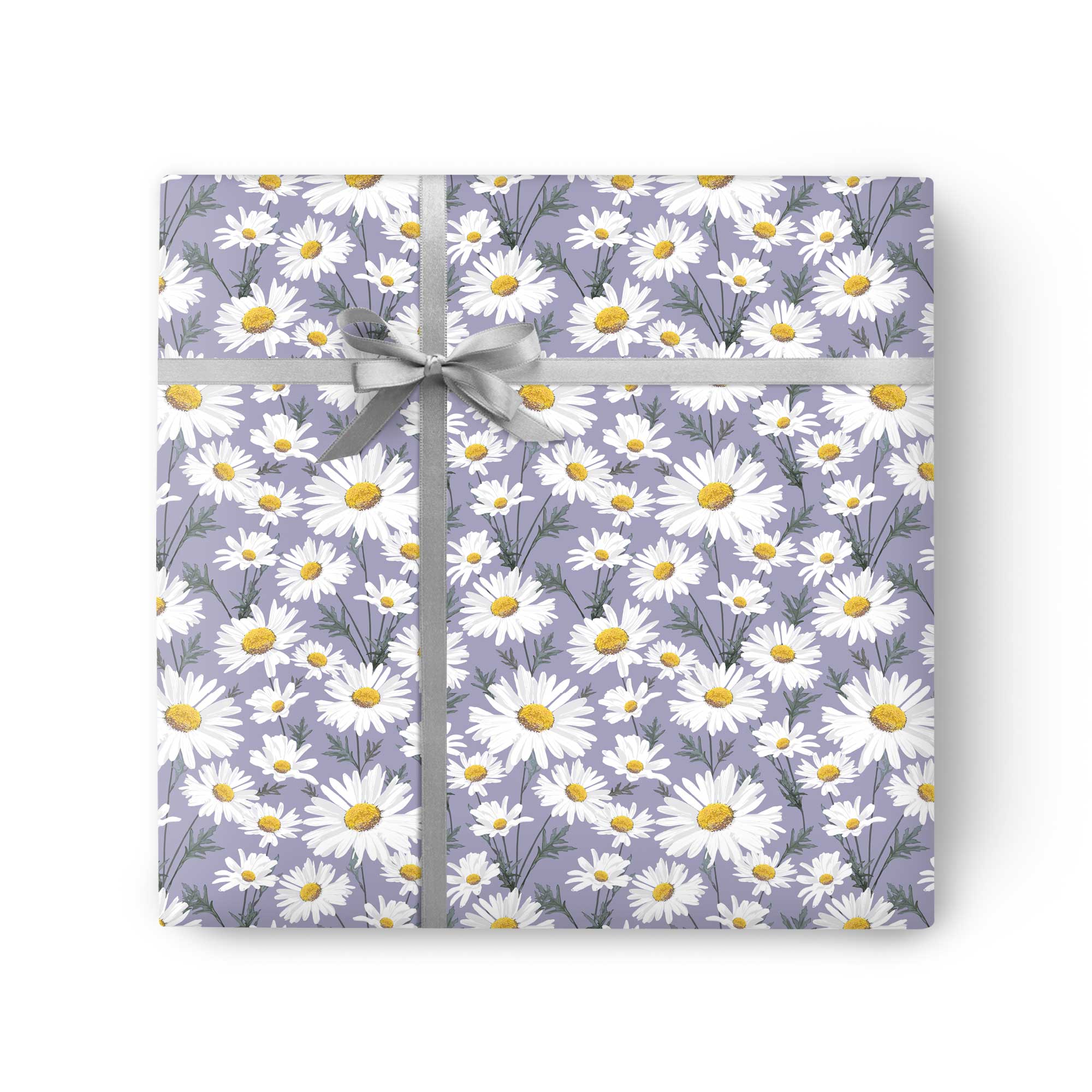 Oxeye Daisy Wrapping Paper