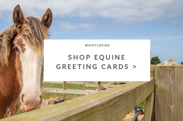 shop equine greeting cards