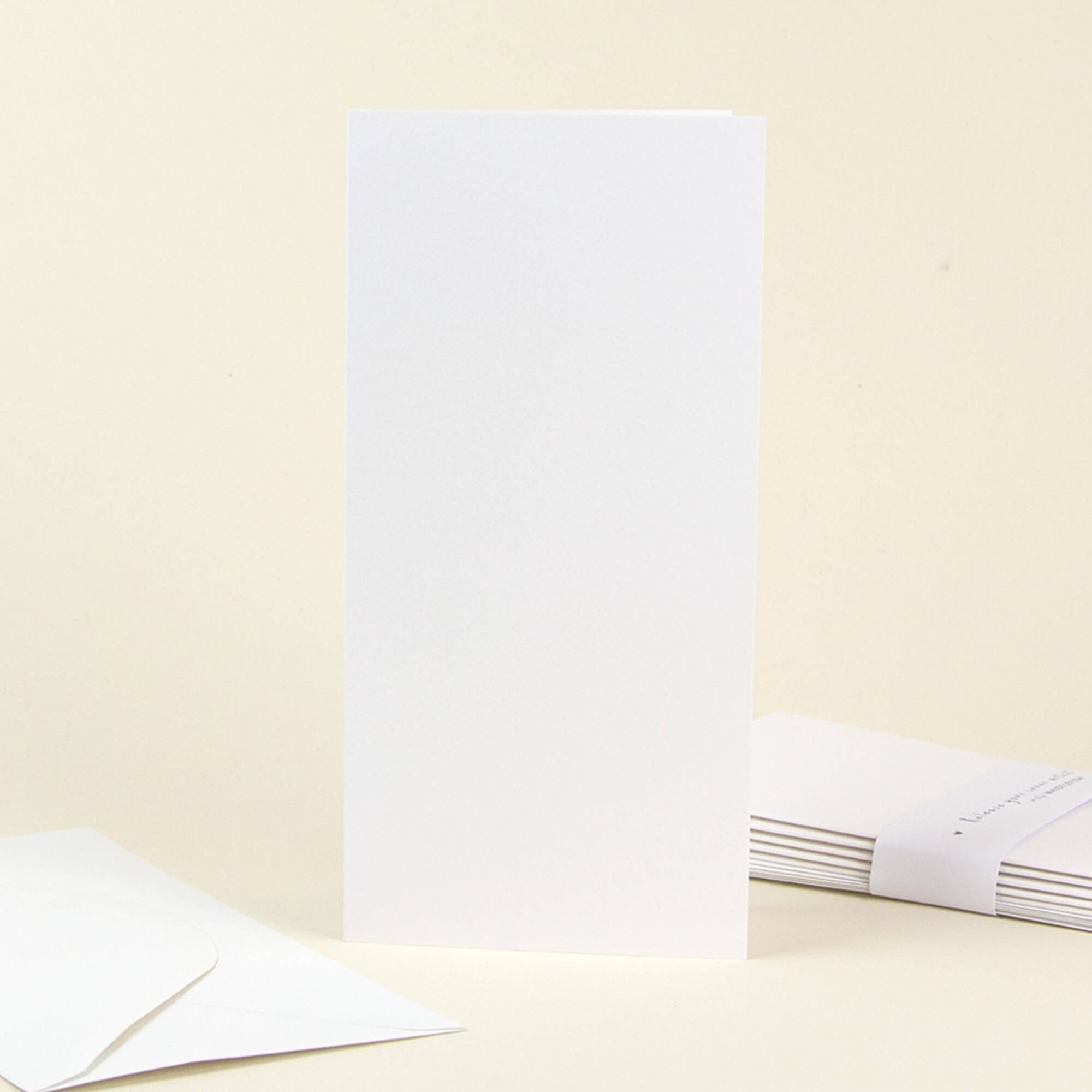 Whistlefish Slim blank art cards with envelopes