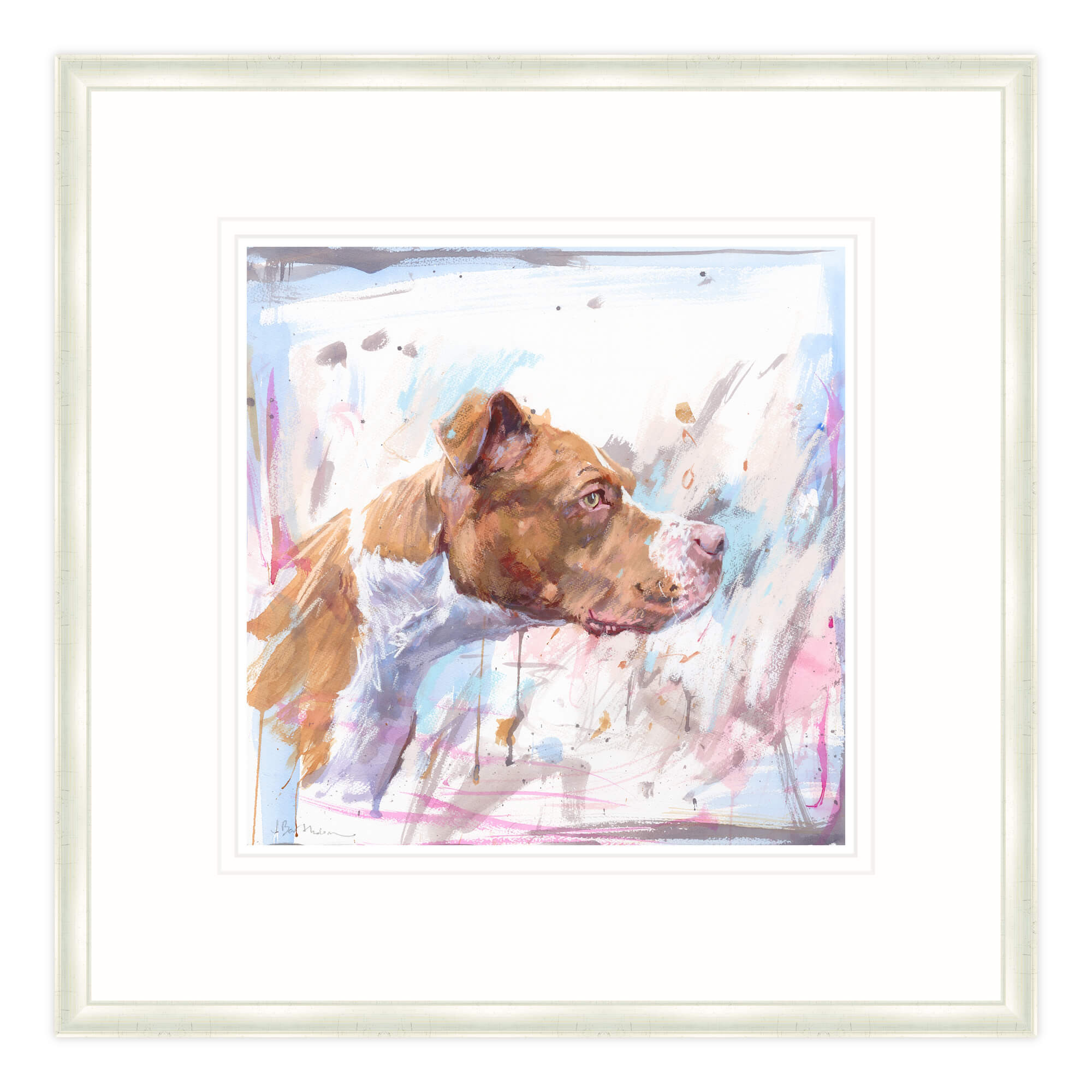 An image of American Bulldog Framed Print Whistlefish