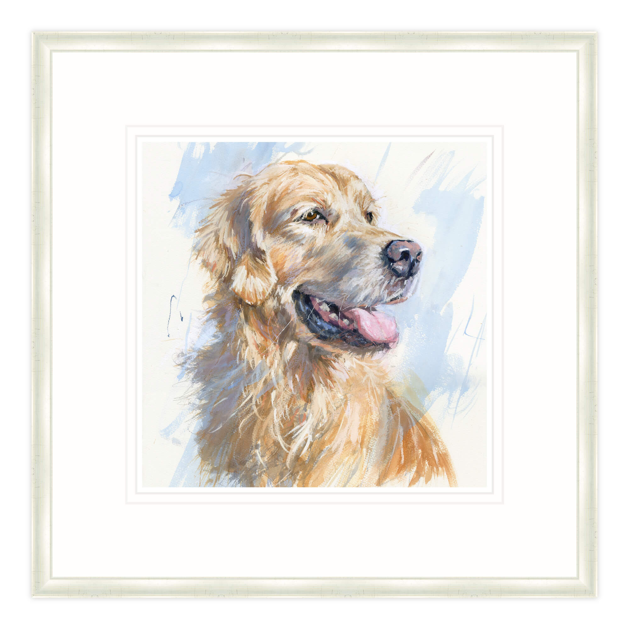 An image of Golden Retriever Framed Print Whistlefish