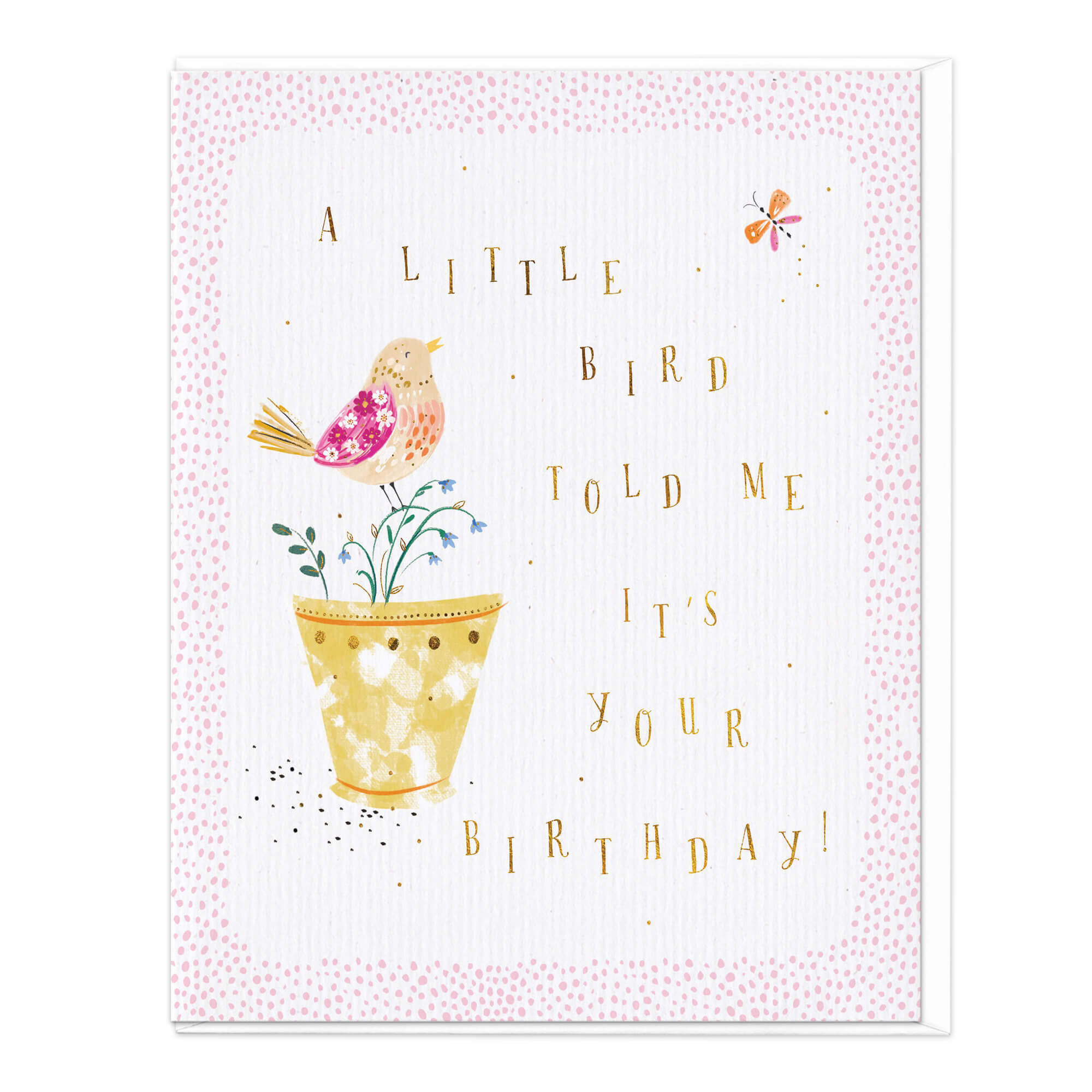 An image of A Little Bird Told Me Birthday Card Whistlefish