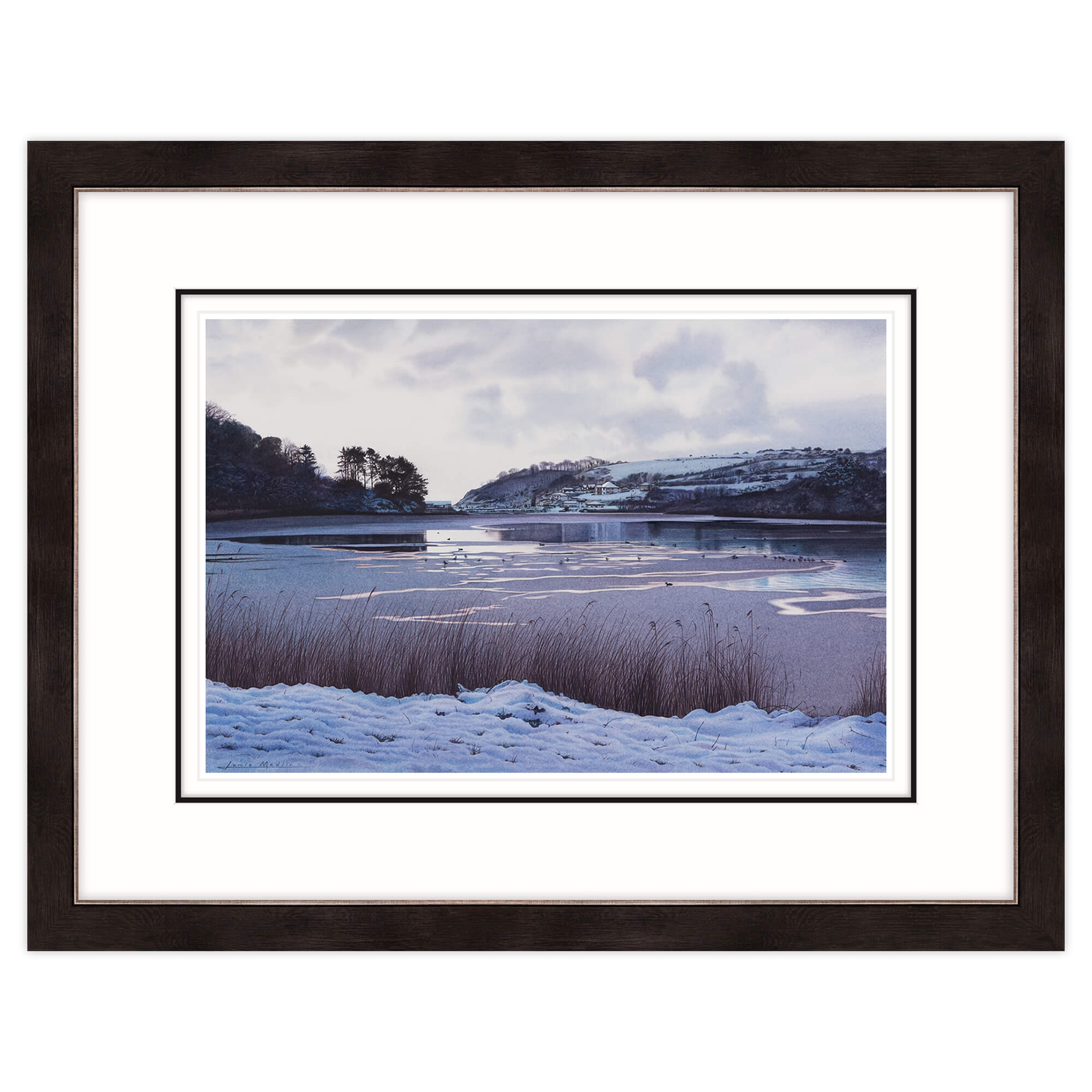 An image of Swanpool in the Snow Framed Print Whistlefish