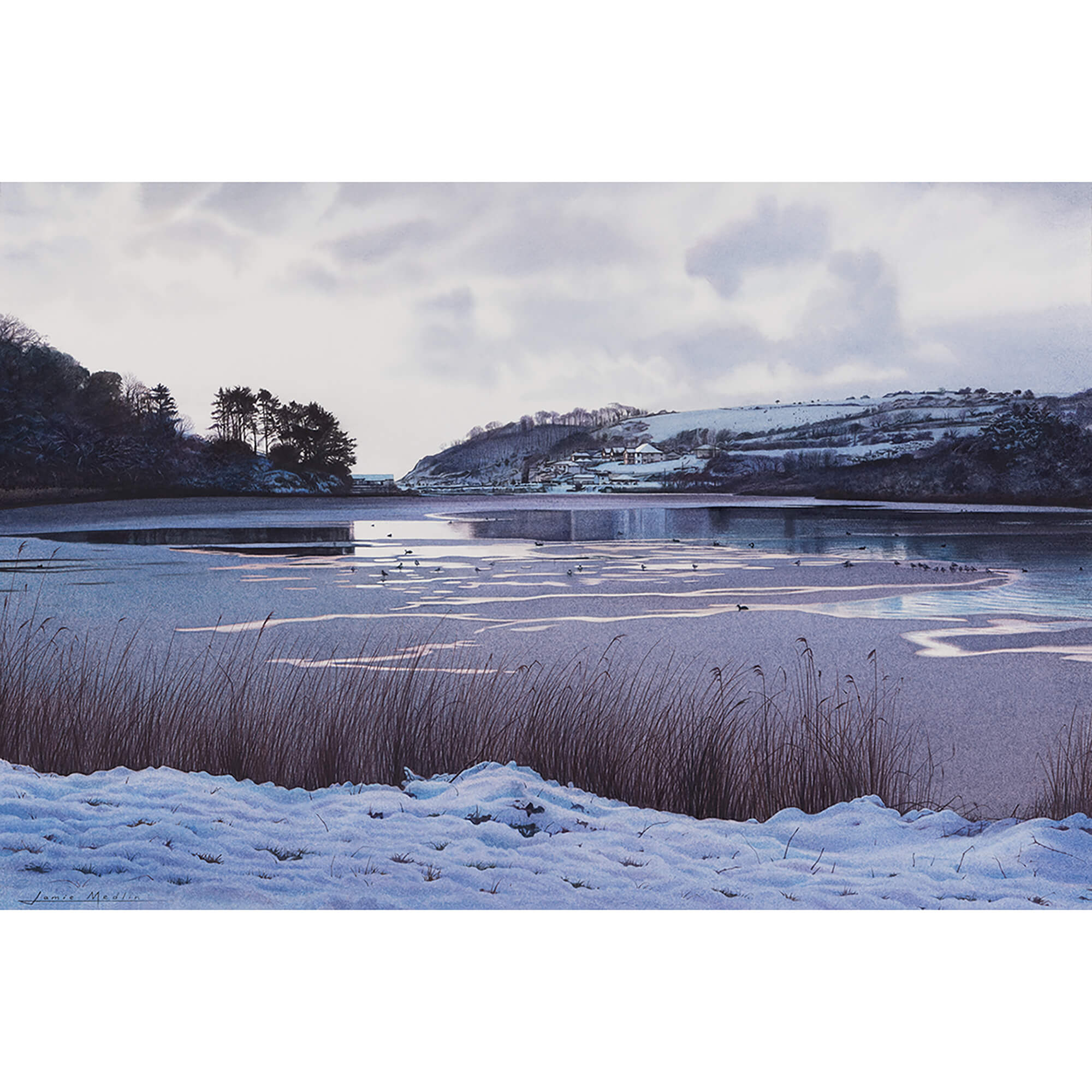 An image of Swanpool in the Snow Art Print Whistlefish