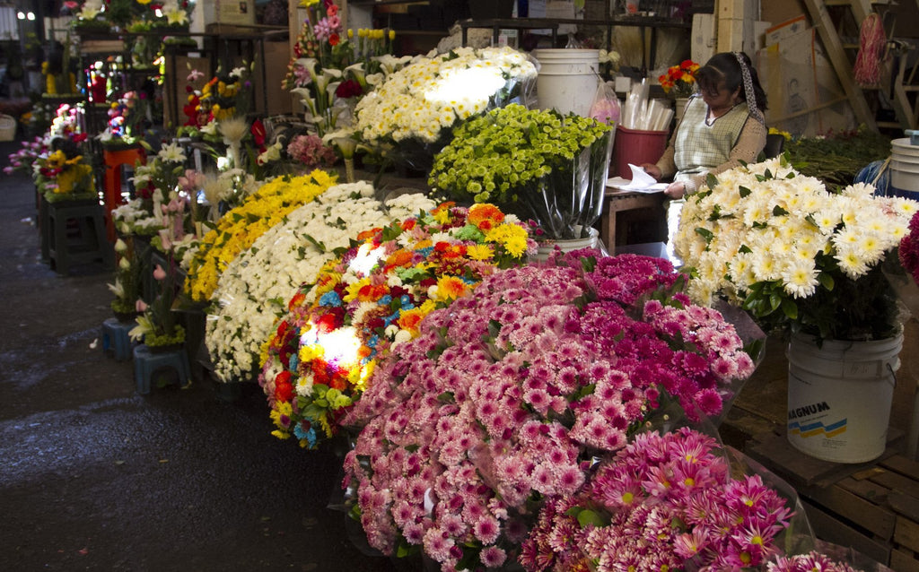 Todo sobre flores y decoración – Página