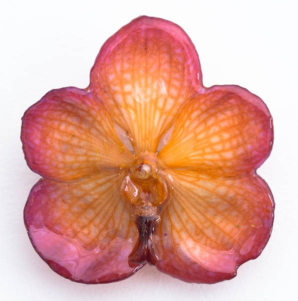 Purple Orange Vanda Orchid Hairclip – Hanami Real Flower Jewelry