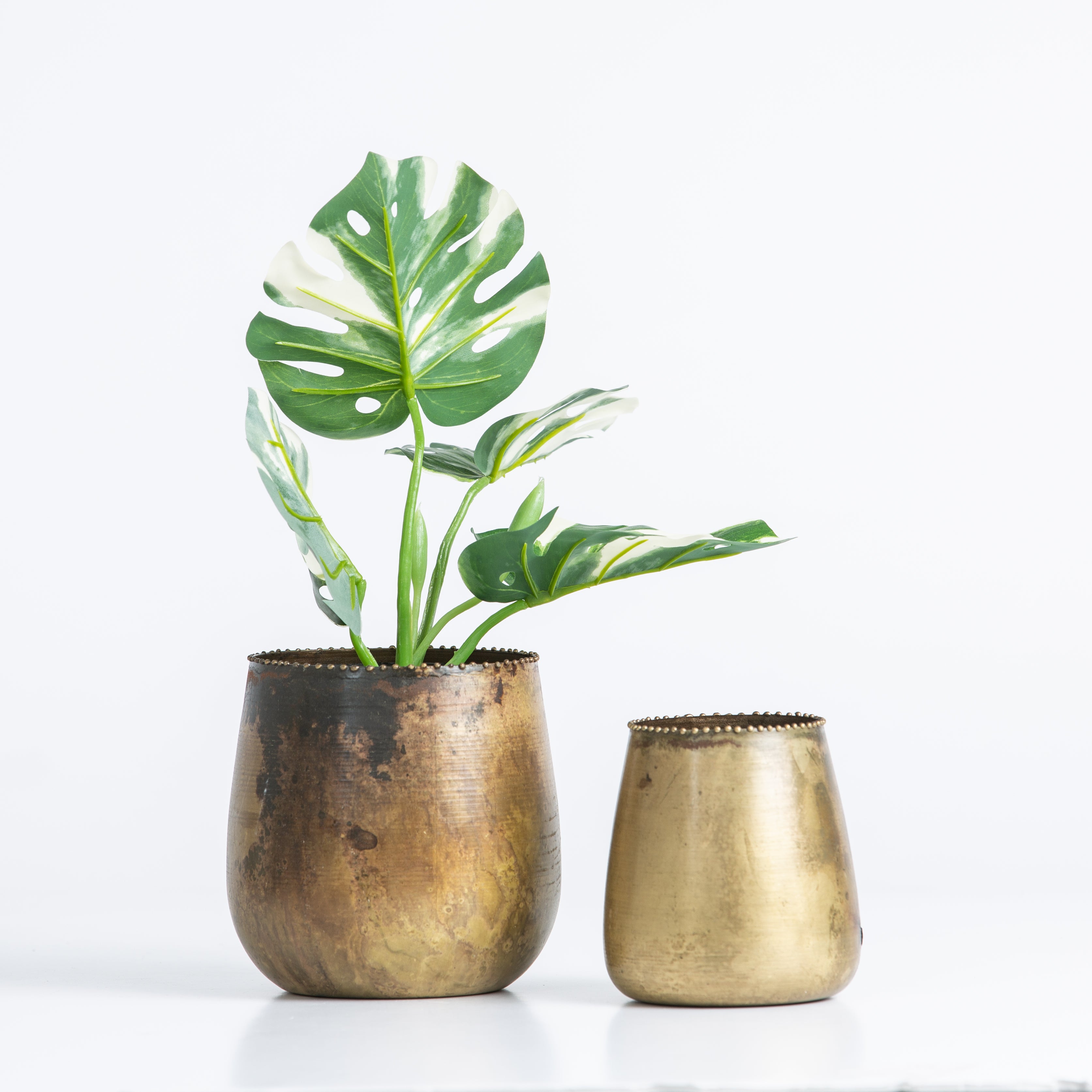 Brass Planter