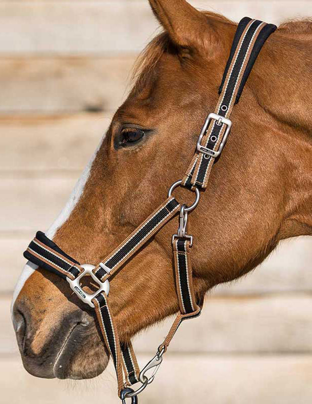 breakaway halter