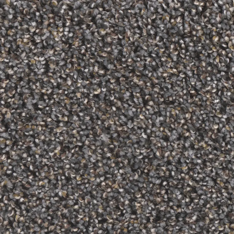 Phenix Microban Creekside II 2019 Misty Air Textured Polyester Carpet —  Stone & Tile Shoppe, Inc.