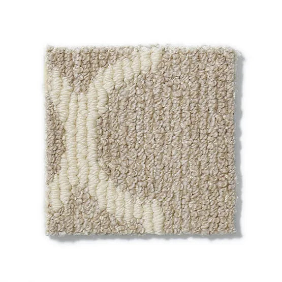 Taza Plaza Taupe Nylon Carpet - Loop