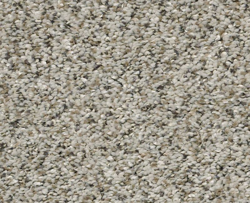 Shaw Birch Bay 2 00700 Silversmith Textured Polyester Carpet