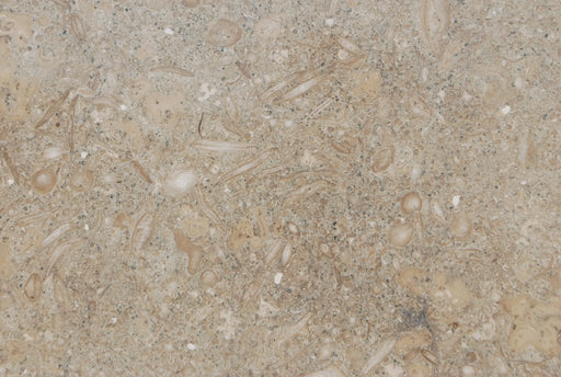 Tropical Green Granite Tile - Polished