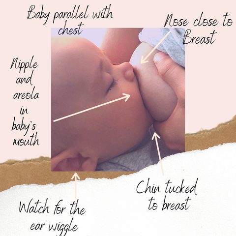 Everything You Need To Know About Latching For A Better Breastfeeding Beaugen Mom