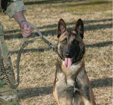 tactical service leash