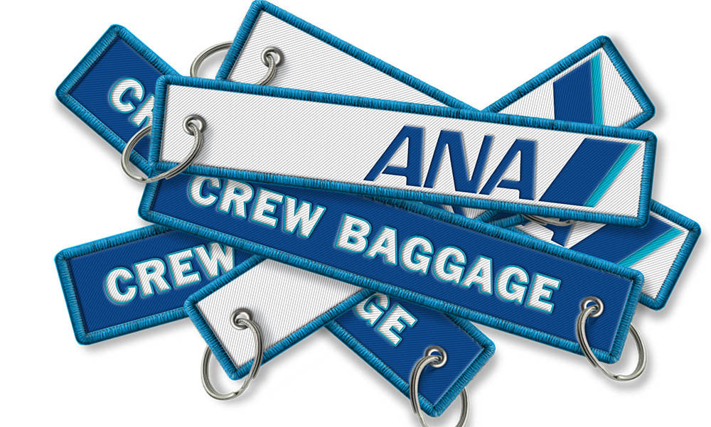 ana baggage