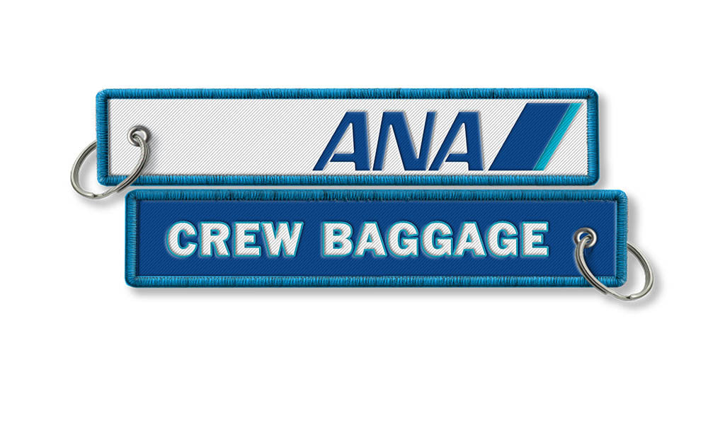 ana luggage