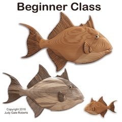 Beginner Trigger Fish