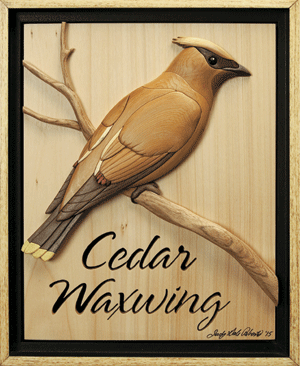 I-348 Cedar Waxwing Intarsia Pattern