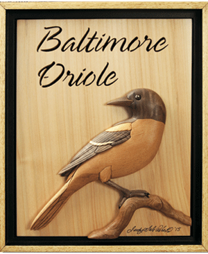 I-351 Baltimore Oriole Intarsia Pattern