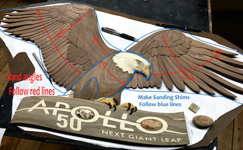 Sanding Tips Eagle