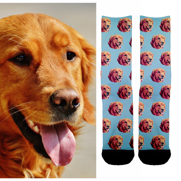 pet socks