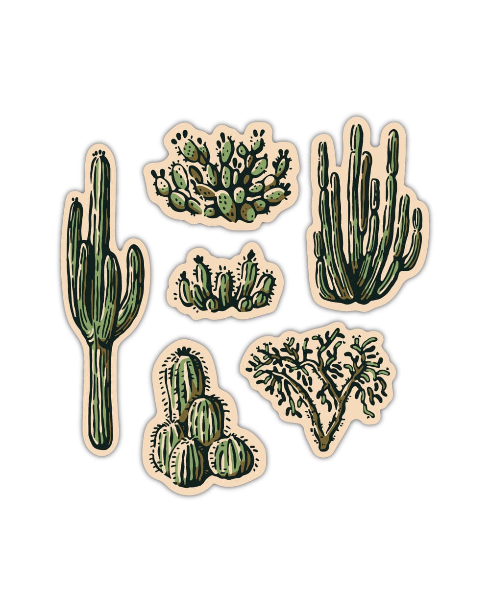 https://cdn.shopify.com/s/files/1/1395/1925/files/keep-nature-wild-nature-study-water-bottle-sticker-pack-cacti-34265676808383.jpg?v=1687369191&width=1000