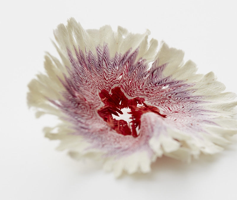 Pencil Shaving Flowers Selvedge Magazine