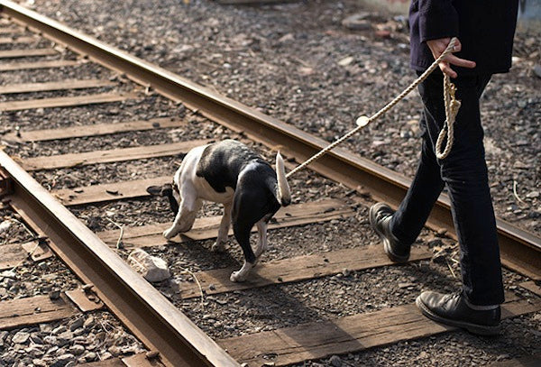 Hemp and solid Brass dog leash £43.46