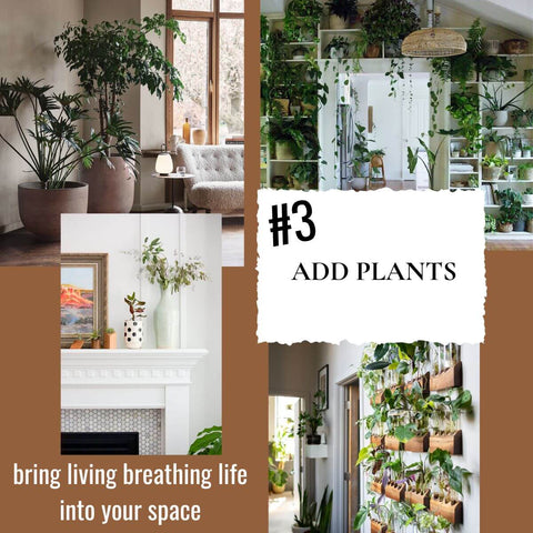 winter home decor tip #3 add plants- Mokuzai Furniture blog