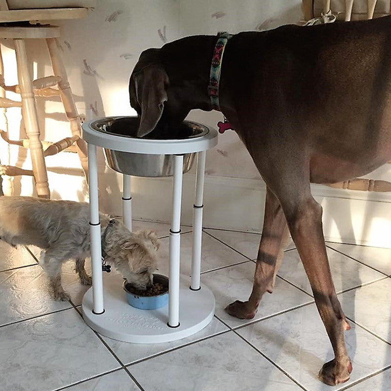 Perfect Fit Feeder