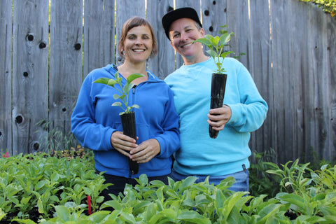 Dr. Catie and Nicole with Blue Elderberry Plants