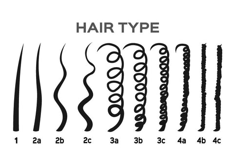 Vector illustration of hair types chart with all curl types labeled Curly  girl method concept From 1 to 4B Stock Vector Image  Art  Alamy