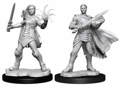 D&D Premium Painted Figure: W5 Female Human Rogue, Table Top Miniatures