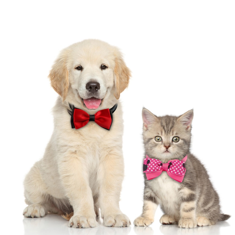 One Pack Adjustable Bow Tie For Your Adorable Pets – Woof Apparel