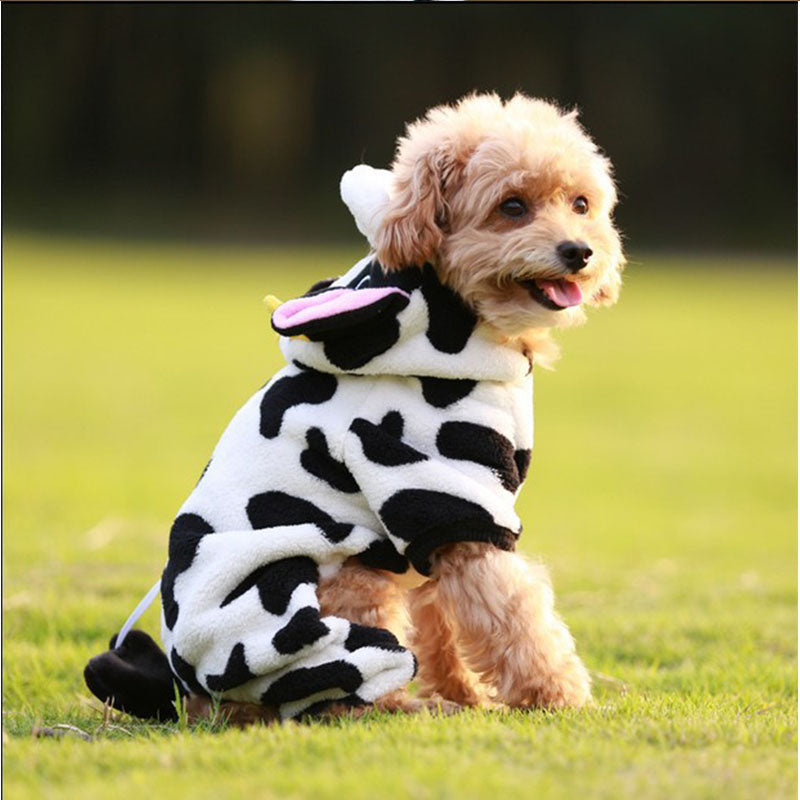 dog onesie