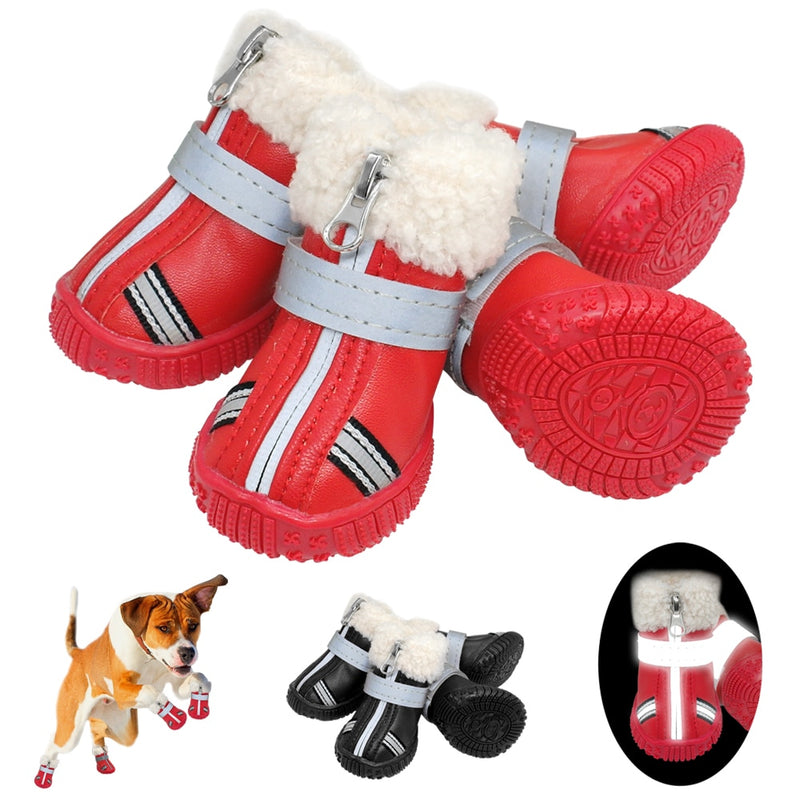 small dog footwear