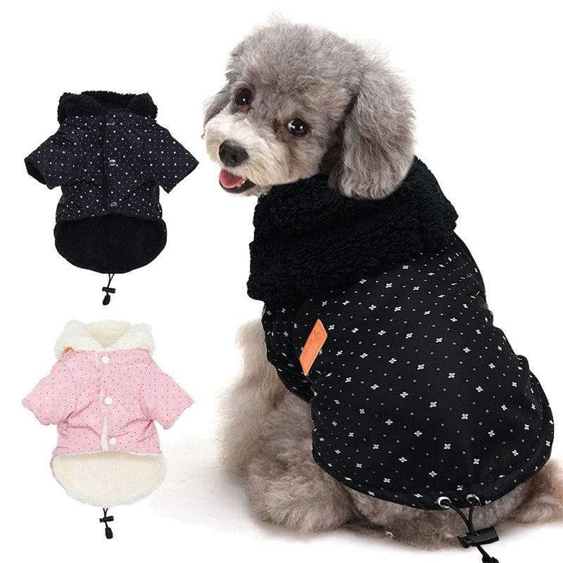 cute small dog sweaters