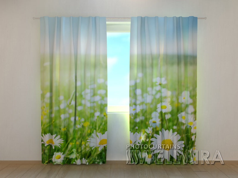 3D Curtain Camomiles of Provence - Wellmira