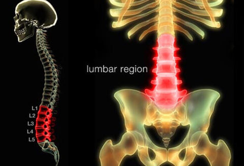 lumbar-region