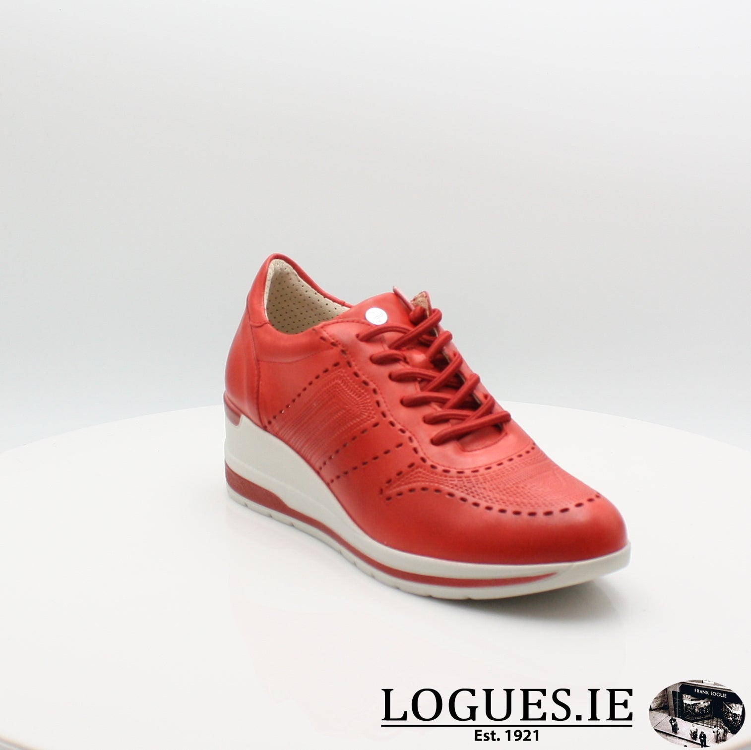 6112 PITILLOS 20 | Free Irish Shipping 