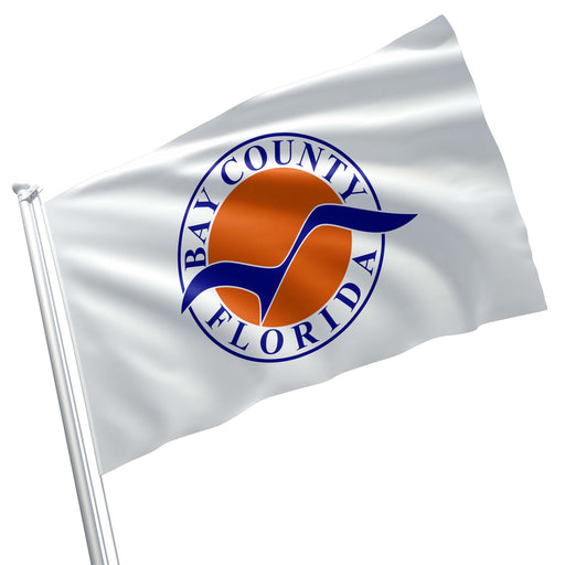 Brandon City Florida State Flag  FL Flag Hillsborough County Oval