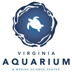 Artist Stephie Jones Paints Live at the Virginia Aquarium Gala 2017