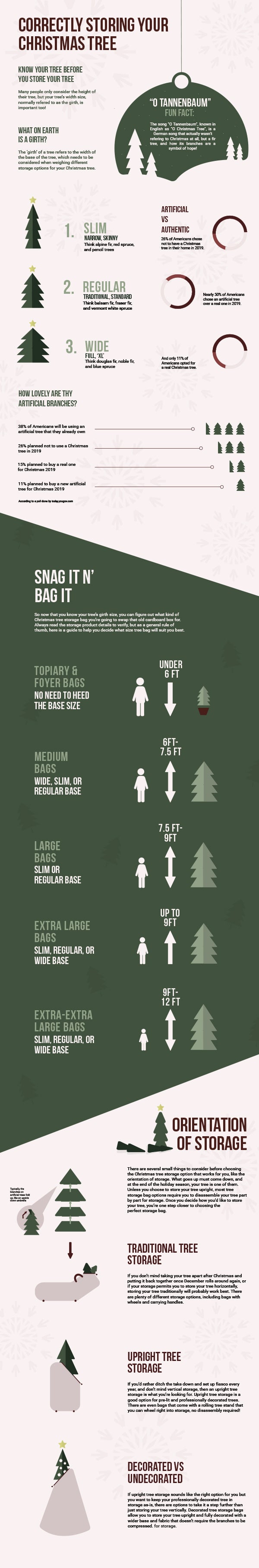 Infographic: Correctly Storing Your Christmas Tree
