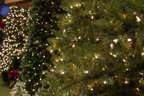 A row of different artificial Christmas trees, with and without lights