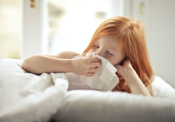 A child blowing her nose, the instance of which can be made to happen less often if you get your kids to eat more nuts. 